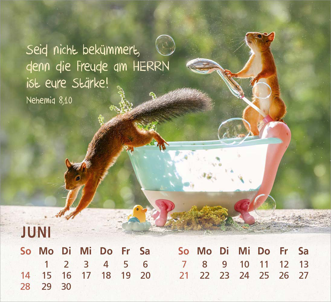 Du bist meine Freude 2026