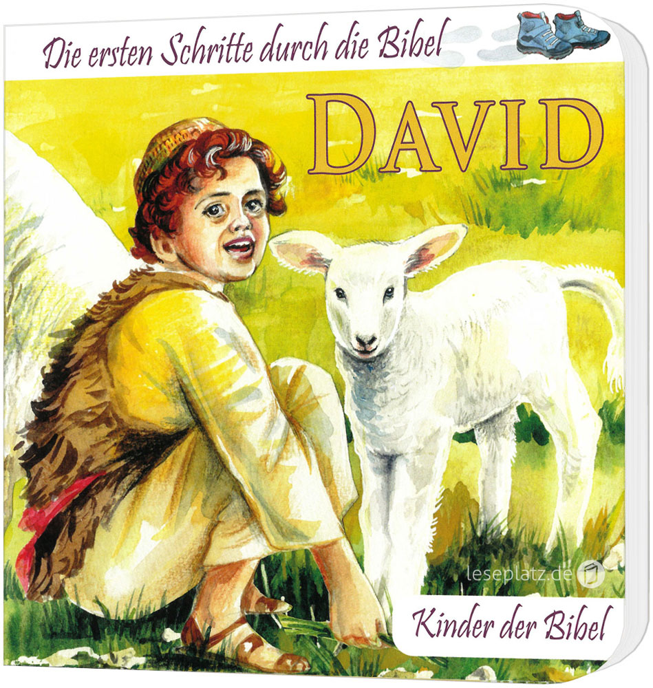 David - Pappbuch