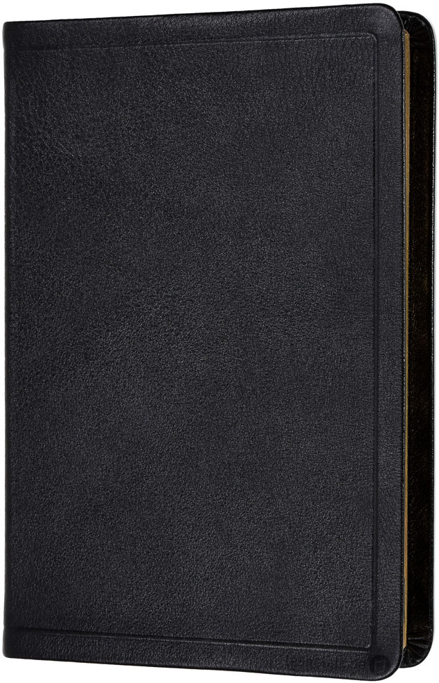 Elberfelder 2003 - Standardausgabe schwarz / Leder / Goldschnitt mit Griffregister