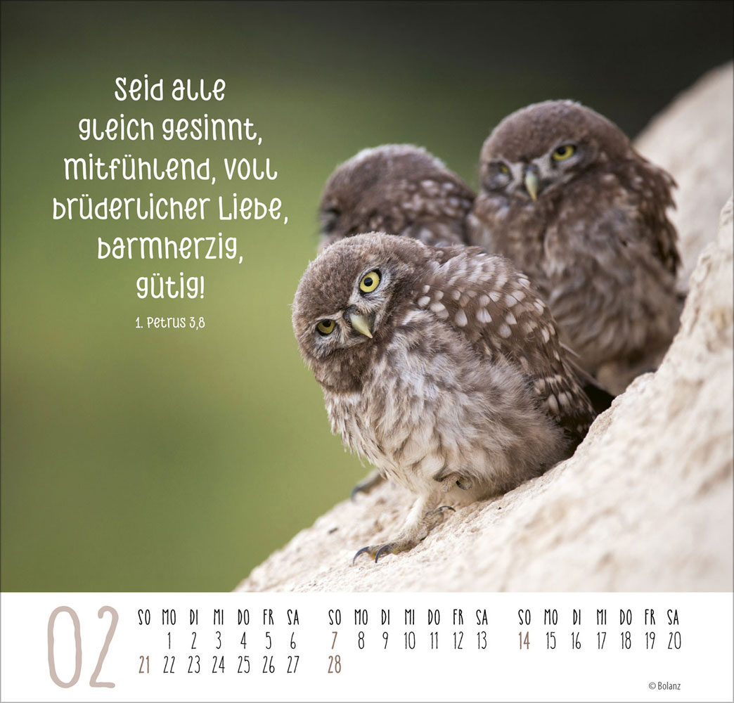 Beste Freunde - Ich mag dich  2027 - Posterkalender