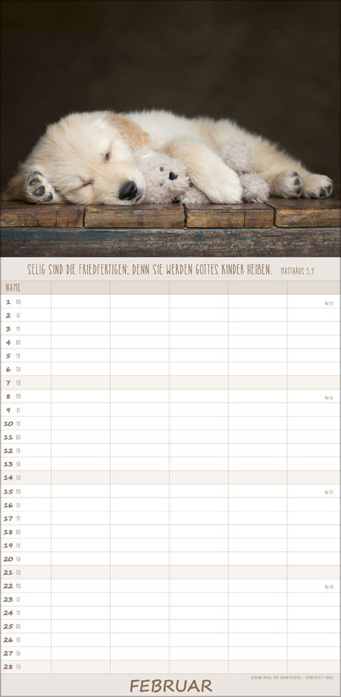 Familienplaner Hunde - 2027
