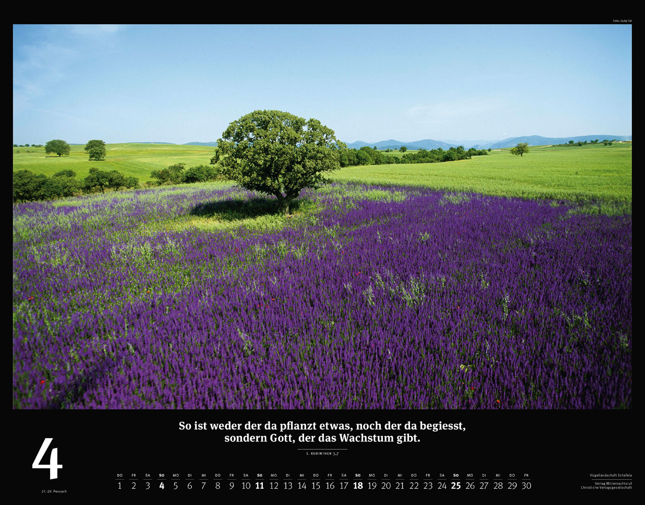 Israel 2027 - Wandkalender (Schwarz)