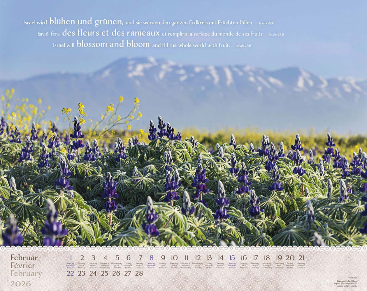 Israel Shalom 2026 - Wandkalender Israel Shalom 2026 - Wandkalender