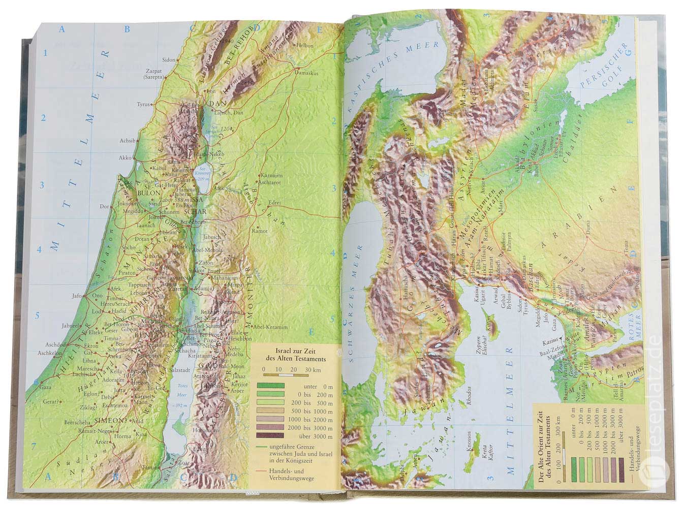 NeÜ - Standardausgabe "Motiv Wüste"