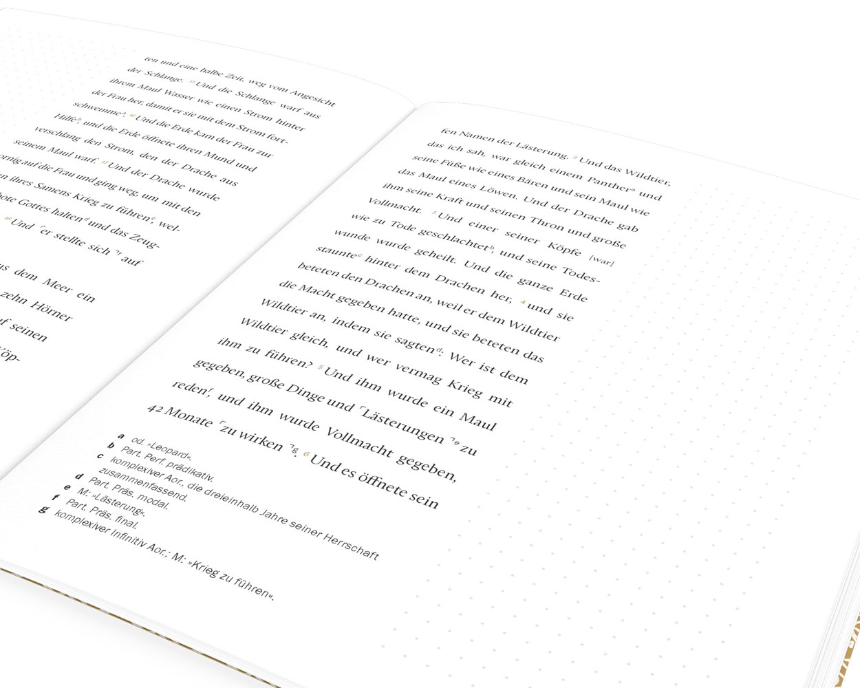 EsraBibel - Logbuch Offenbarung