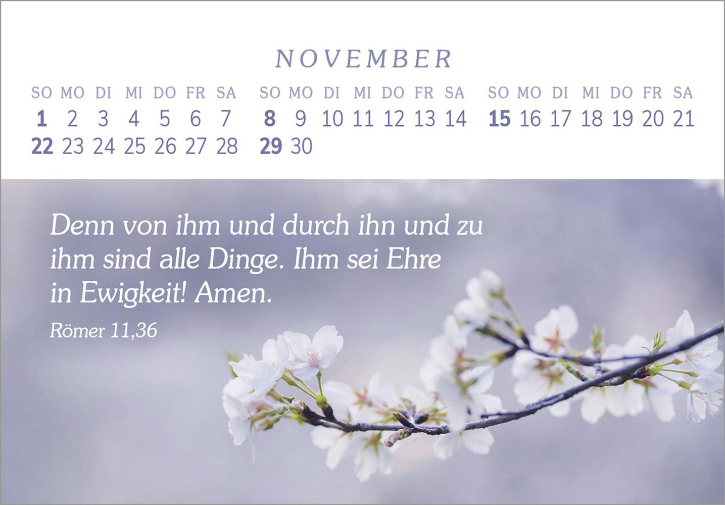 Das Geschenk der Freude 2026