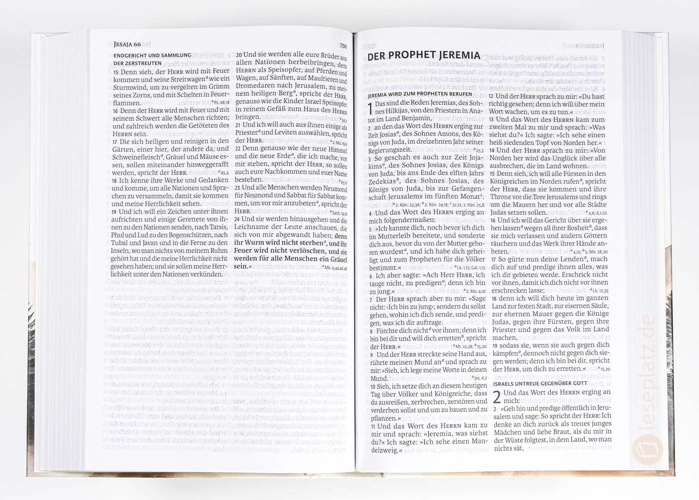 Luther21 - Standardausgabe - Hardcover Berglandschaften