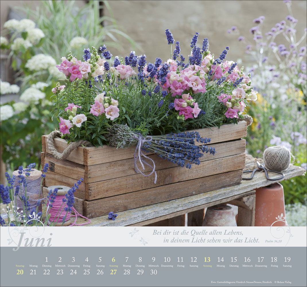 Im Garten zuhause 2027 - Wandkalender