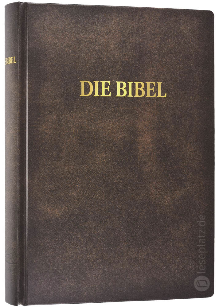 Schlachter 2000 - Schreibrandausgabe mit Parallelstellen Schlachter 2000 - Schreibrandausgabe mit Parallelstellen