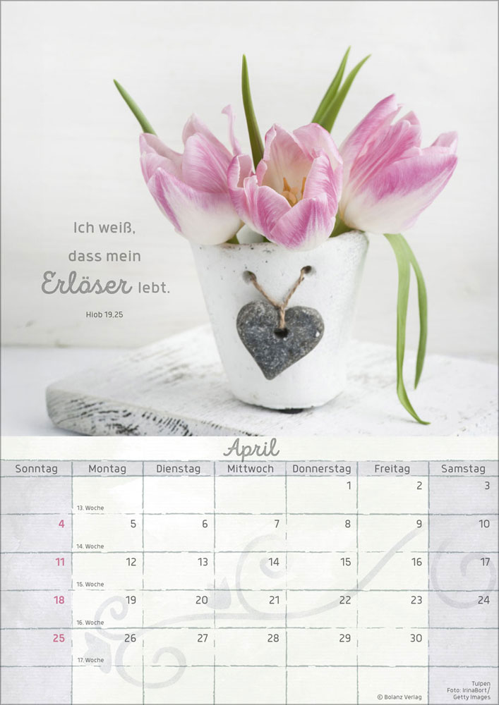 Momente der Freude 2027 - Wandkalender