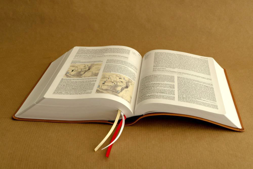 Elberfelder Bibel 2006 Studienausgabe - Kunstleder braun