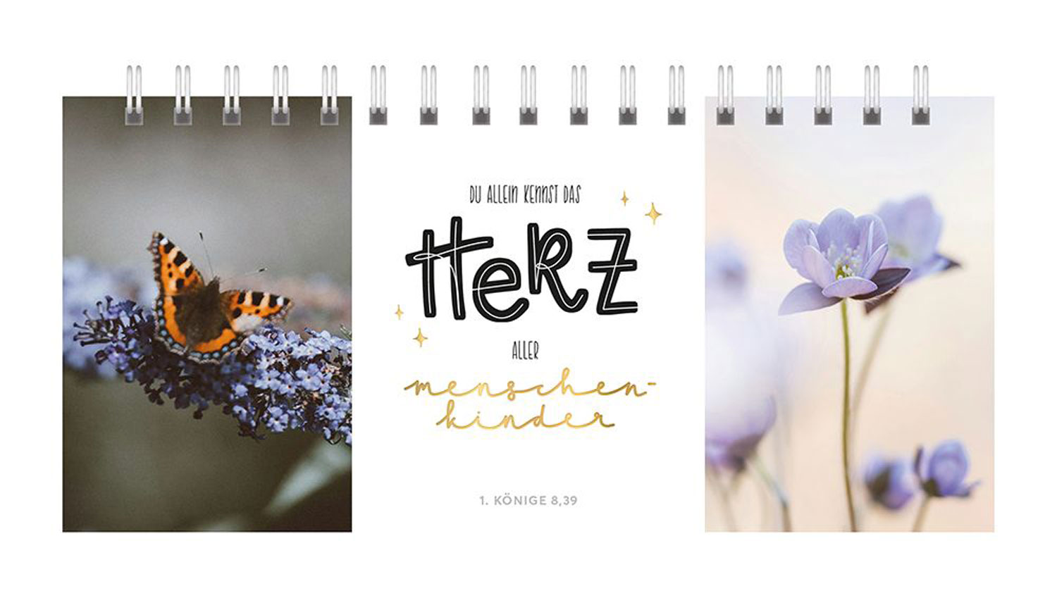 Dreifaches Himmelsglück - Aufstellbuch