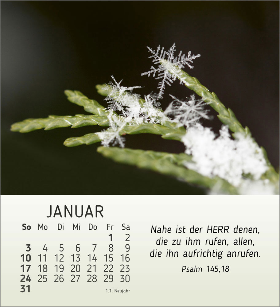 Stille Begegnungen 2027