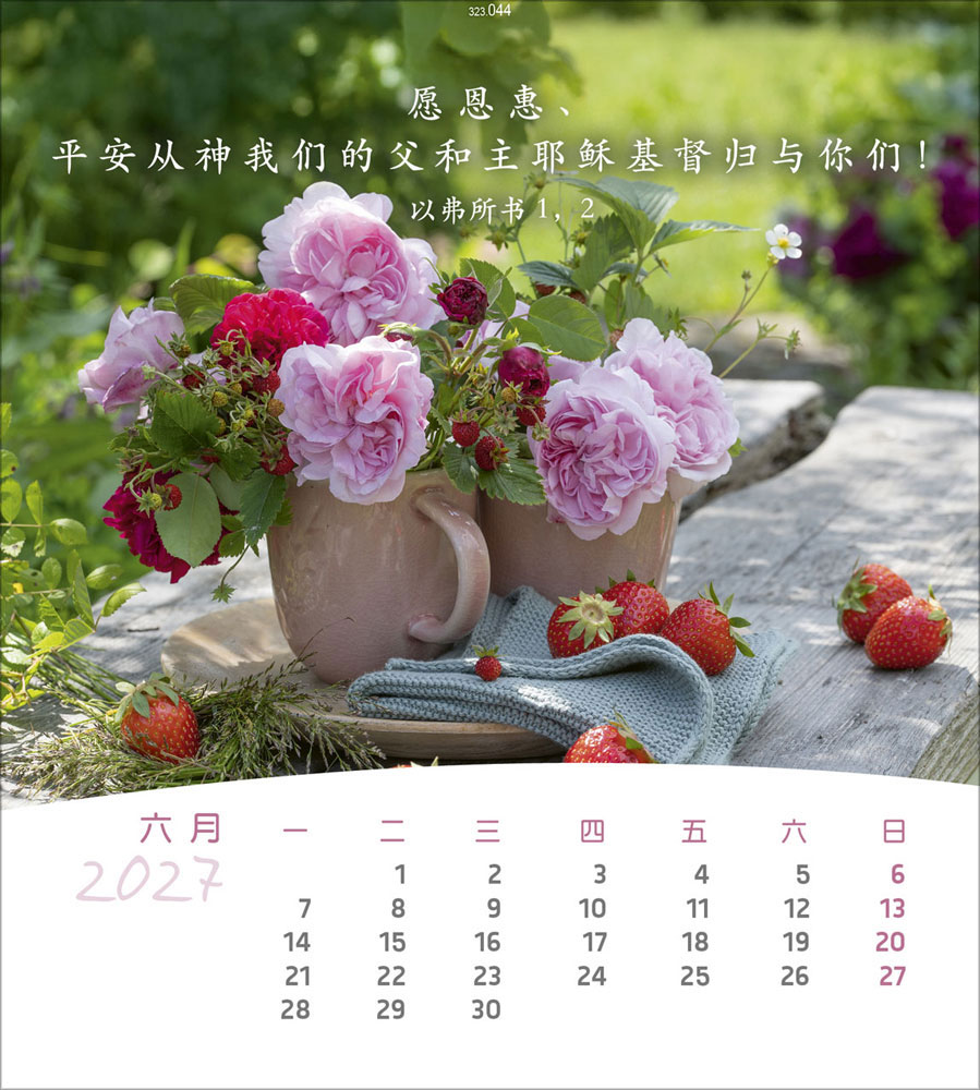 Leben für Dich 2027 - Verteilkalender (Chinesisch)