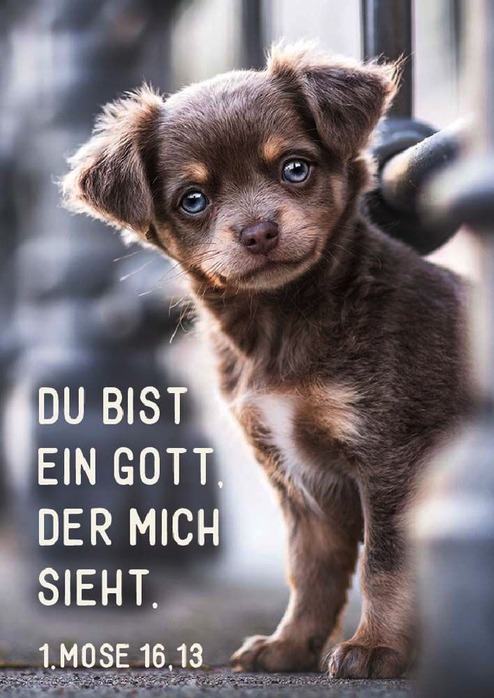 179730042_Postkarte Postkarte "Welpe"