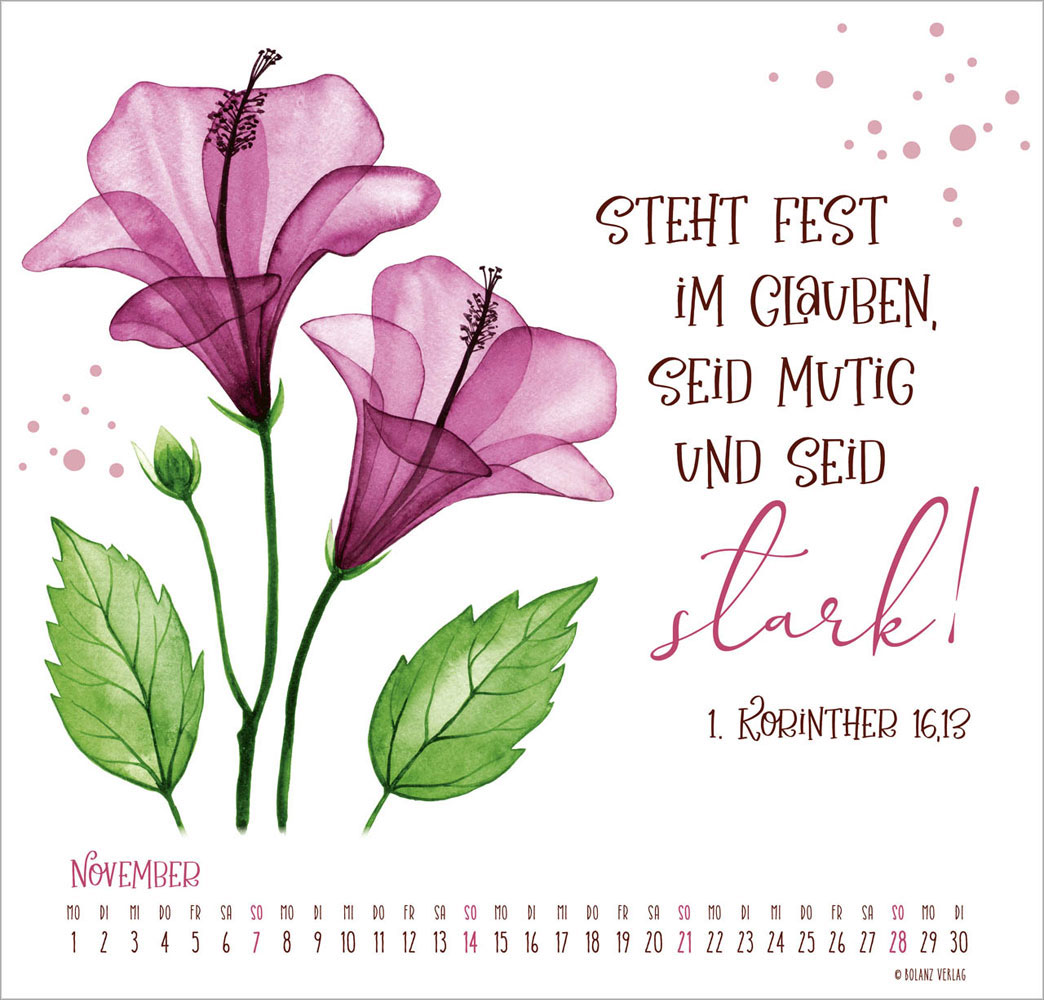 Gesegnet Tag für Tag 2027 - Wandkalender