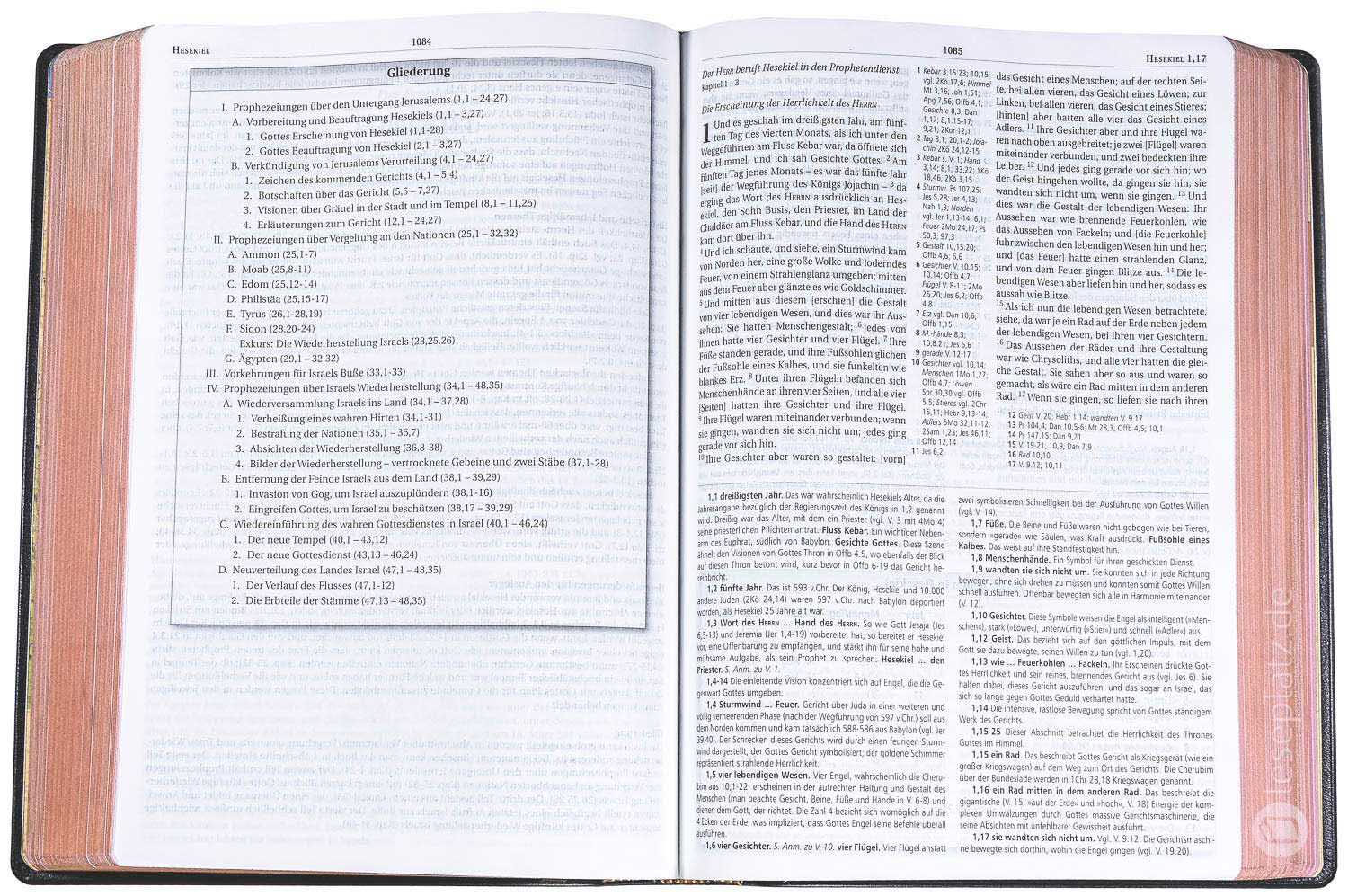 MacArthur Studienbibel - Kalbsleder / Rotgoldschnitt