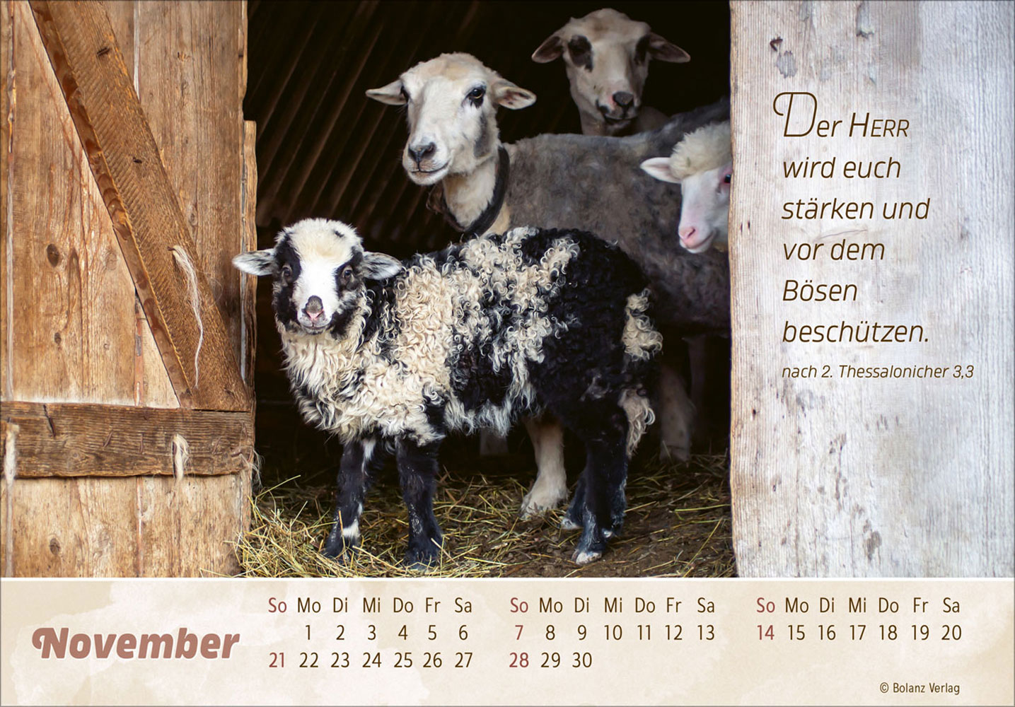 Der Gute Hirte 2027 - Postkartenkalender