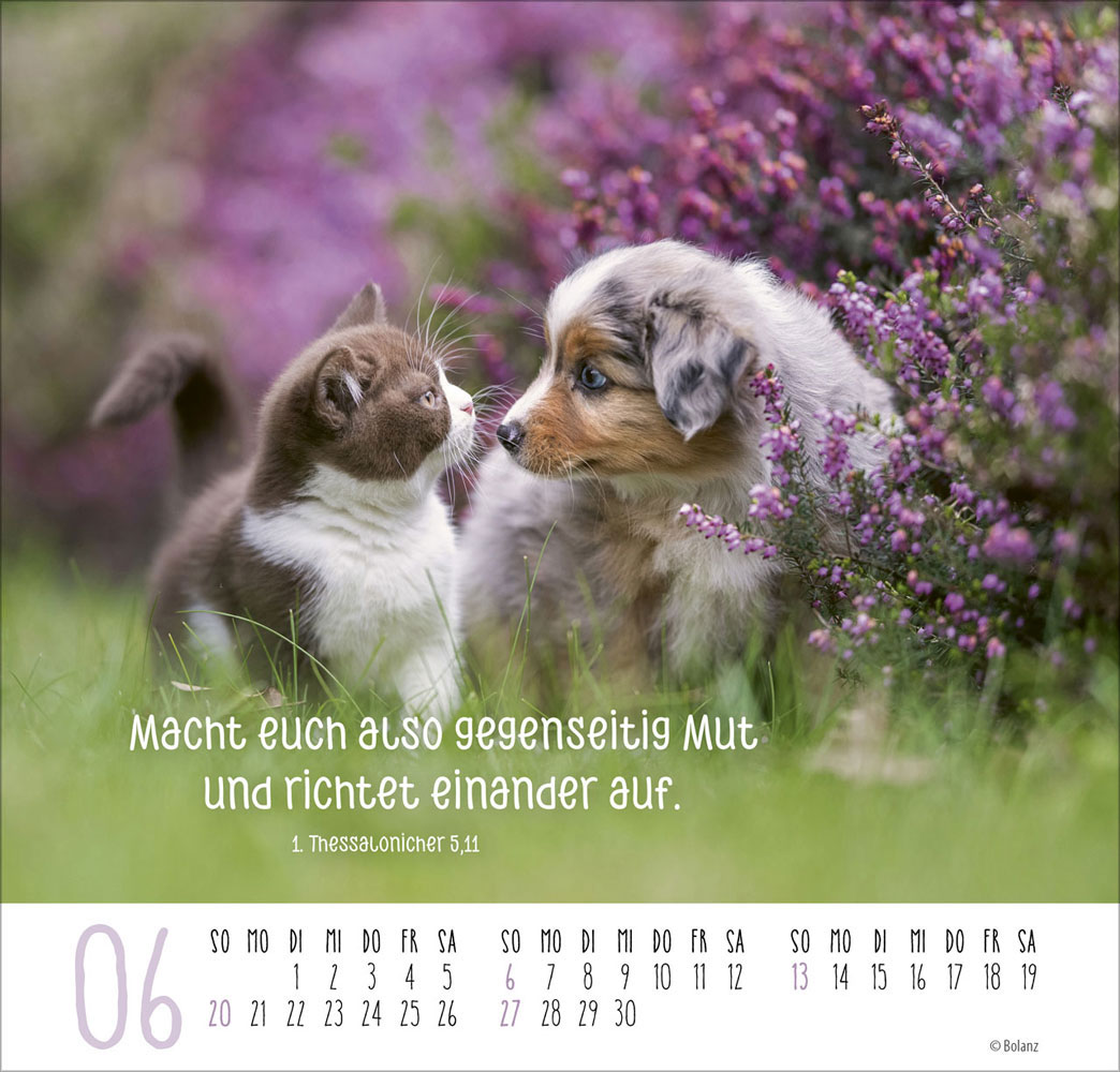 Beste Freunde - Ich mag dich  2027 - Posterkalender