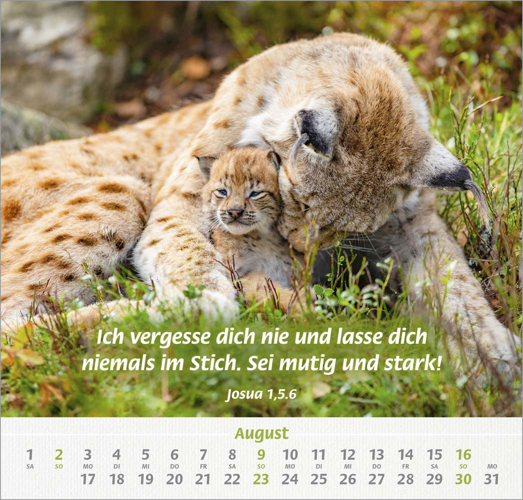 Ich hab dich gern 2026 - Wandkalender