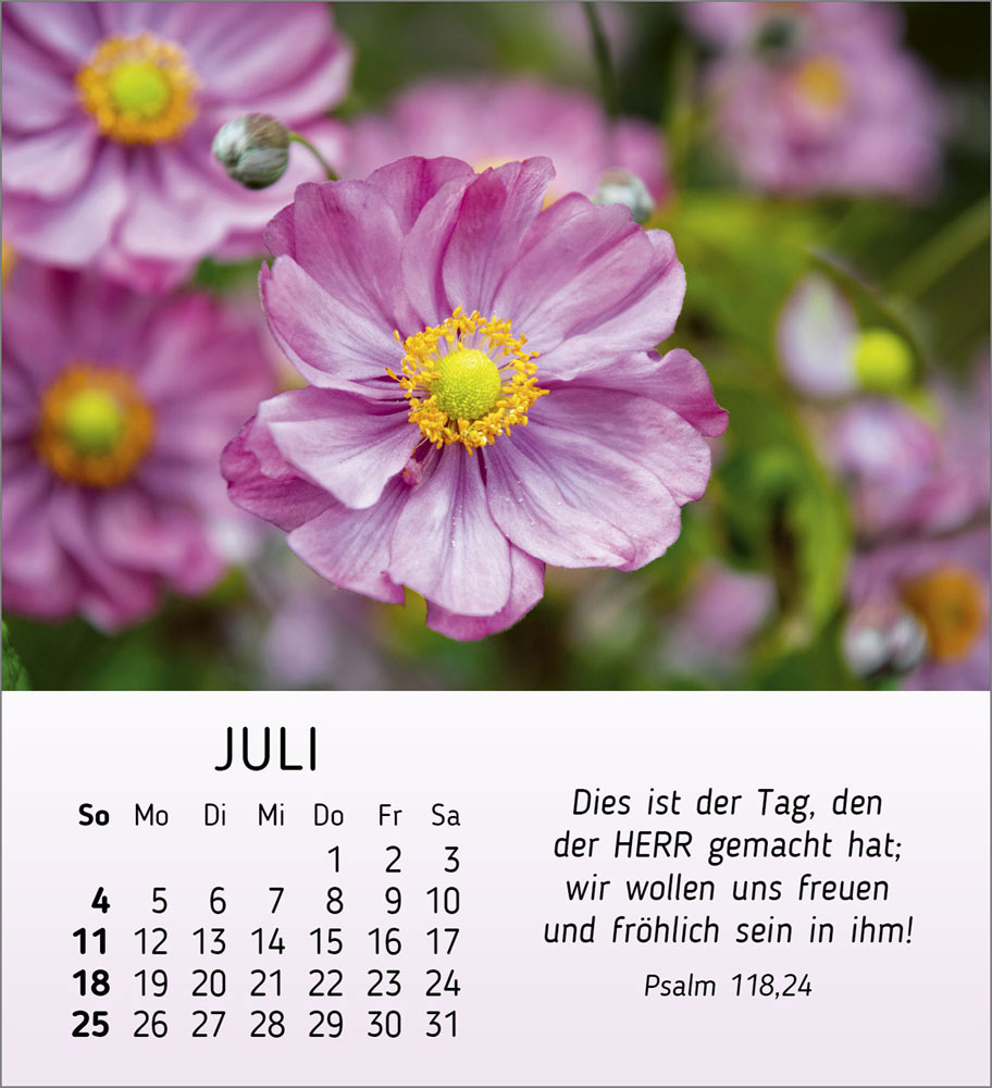 Ich wünsch Dir Freude 2027