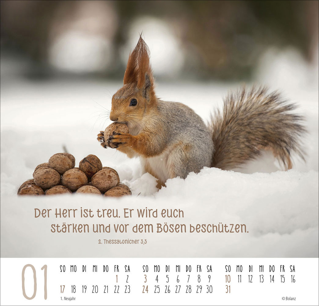 Beste Freunde - Ich mag dich  2027 - Posterkalender
