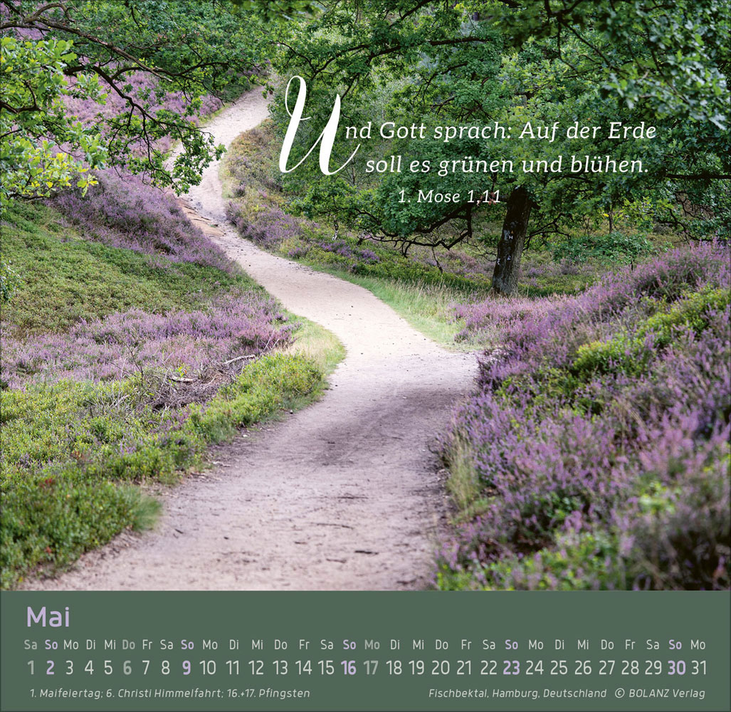 Weg - Licht - Leben 2027 - Tischkalender