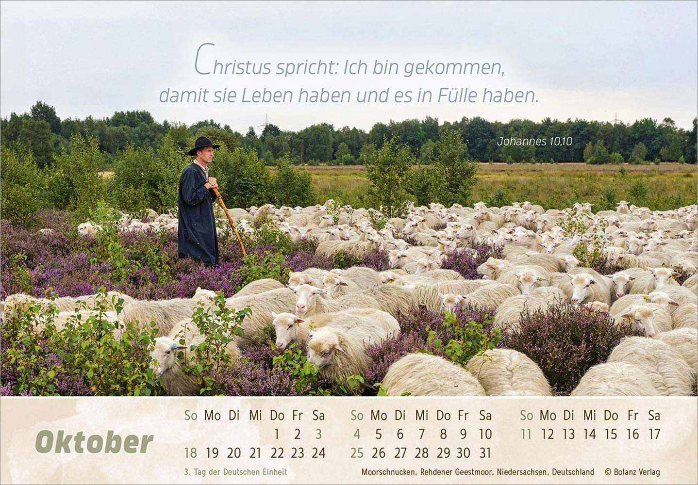 Der Gute Hirte 2026 - Postkartenkalender