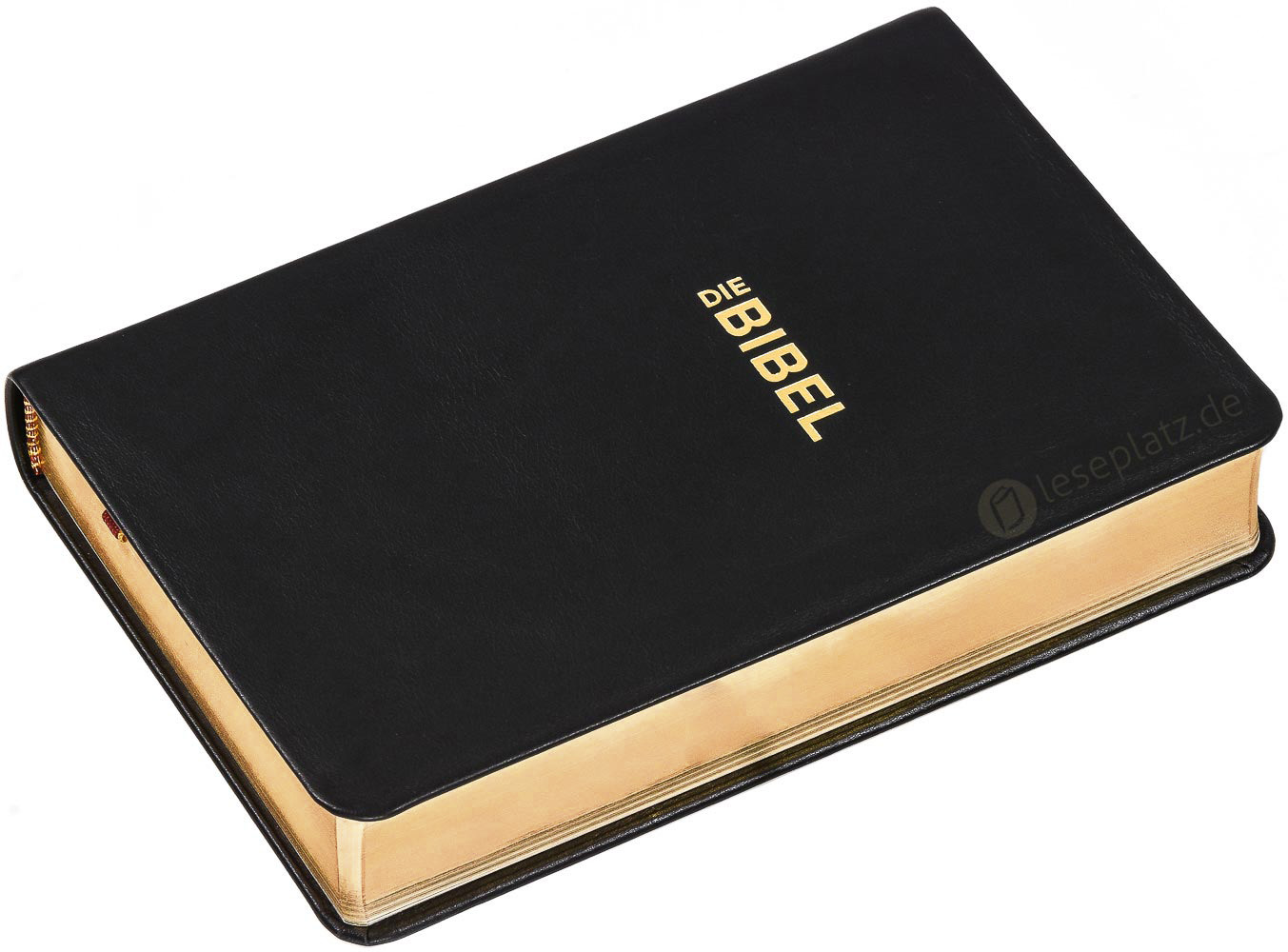 Schlachter 2000 Taschenausgabe - flex.Rindleder schwarz / Goldschnitt