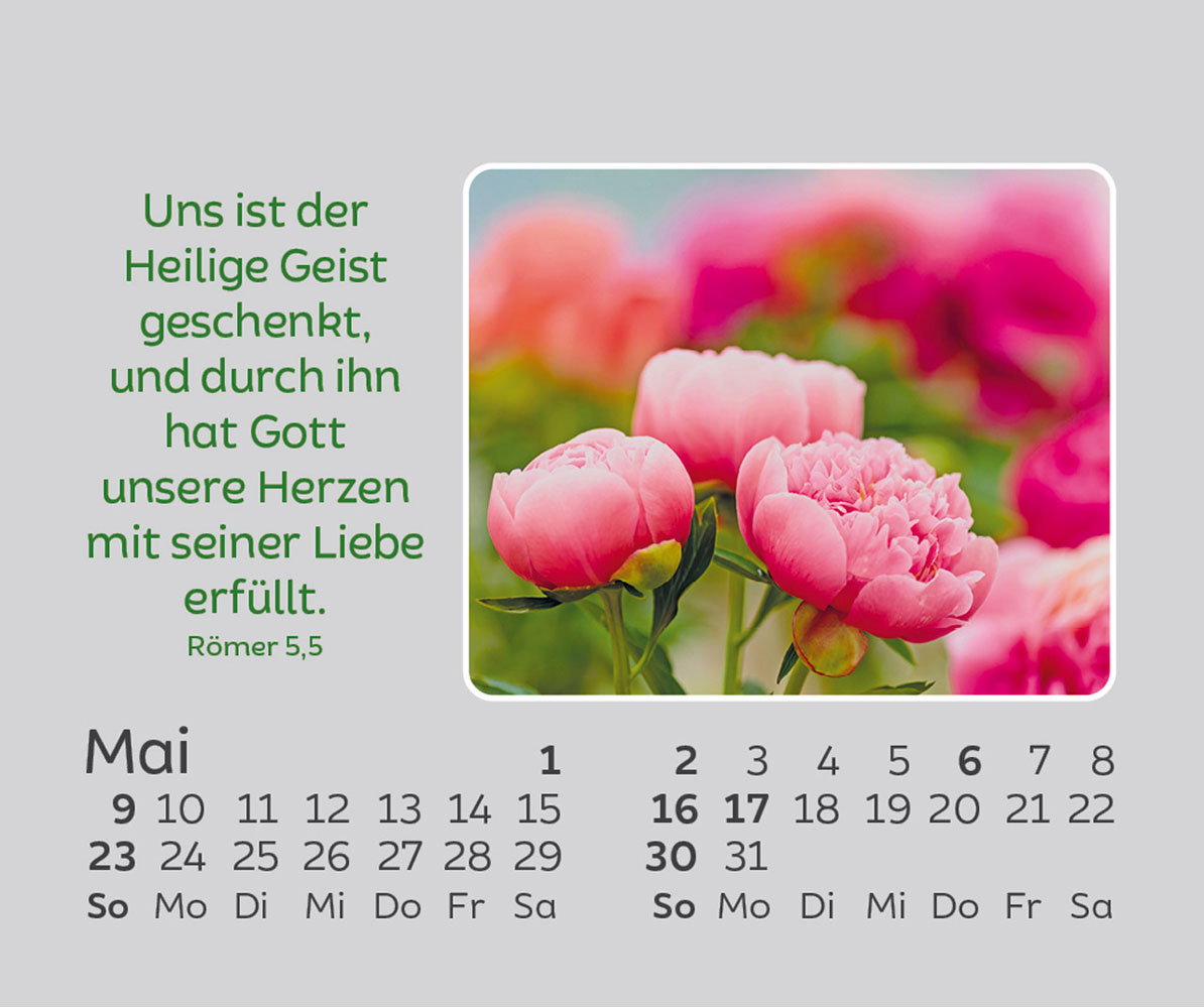 Freude für jeden Tag 2027