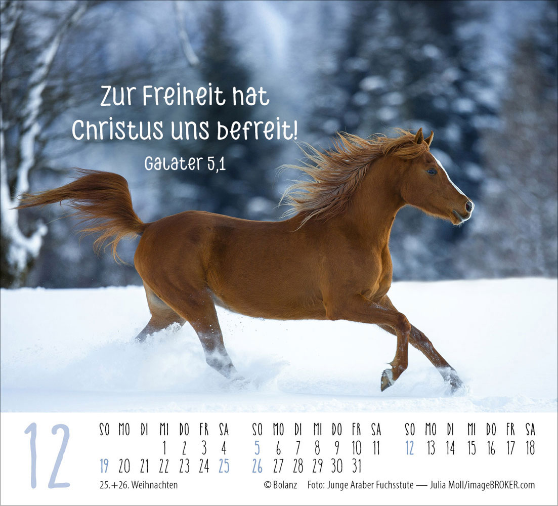 Pferde 2027 - Minikalender