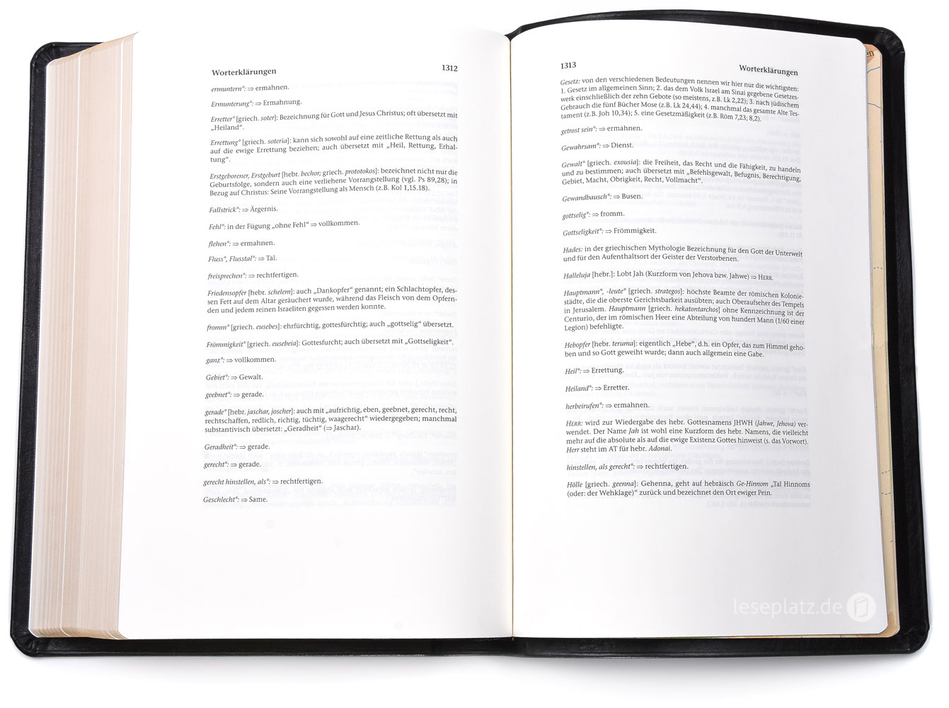 Elberfelder 2003 - gr.Schreibrandausgabe / Rindleder Goldschnitt