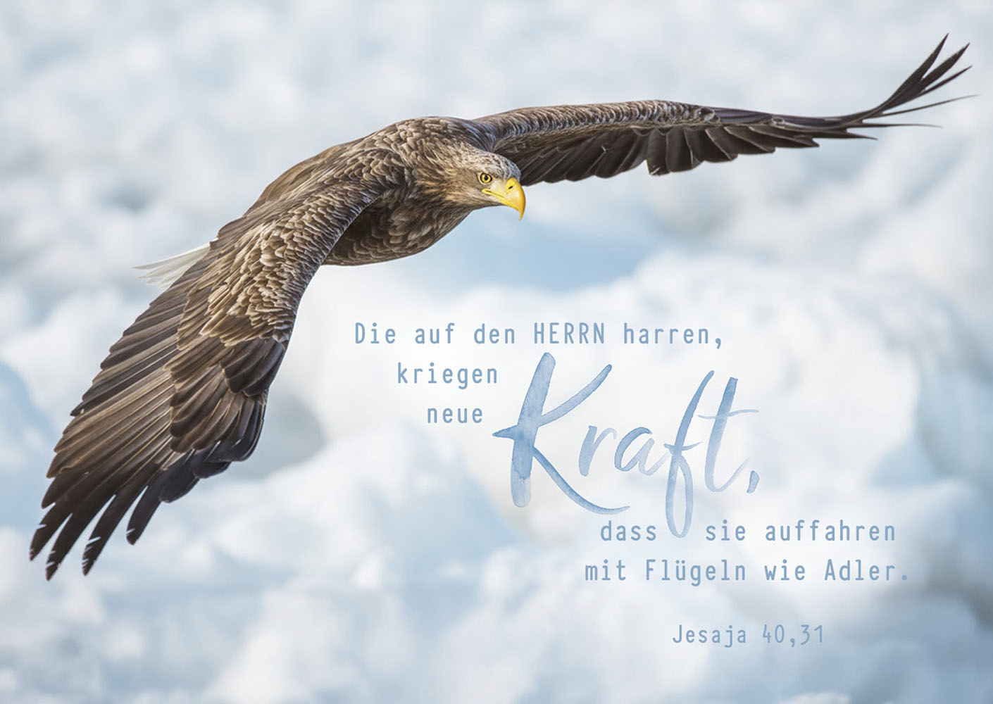Postkarte "neue Kraft"