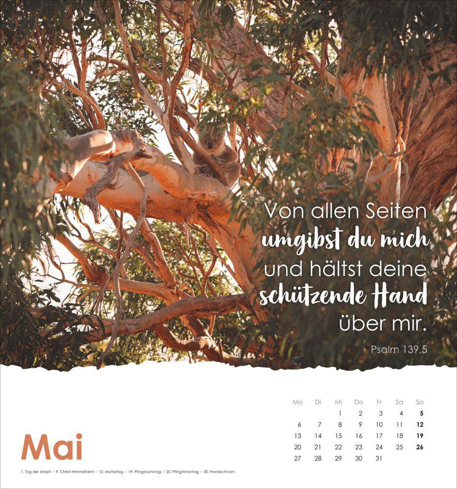 Lobe den Herrn, meine Seele 2024 - Wandkalender Lobe den Herrn, meine Seele 2024 - Wandkalender