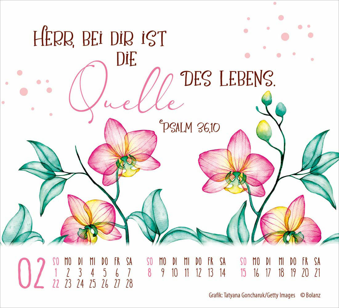 Geschützt in seiner Hand  2026 - Minikalender