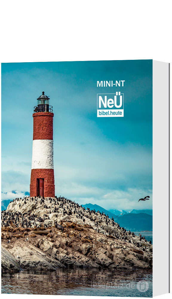 NeÜ - Mini-NT "Leuchtturm"