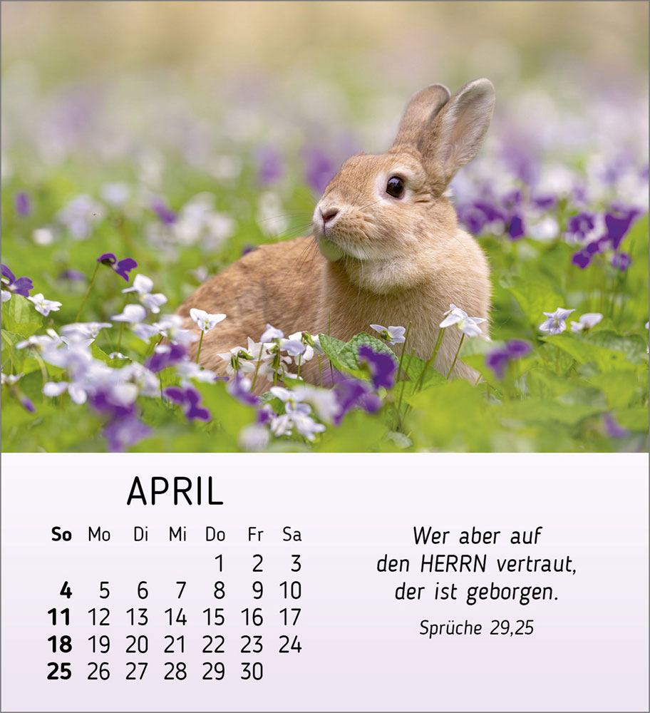 Meine kleinen Freunde 2027