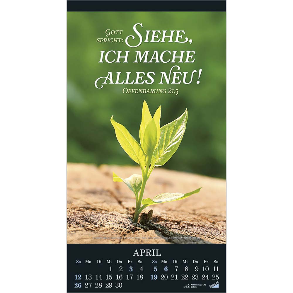 Die Wunder deiner Werke 2026 - Wandkalender