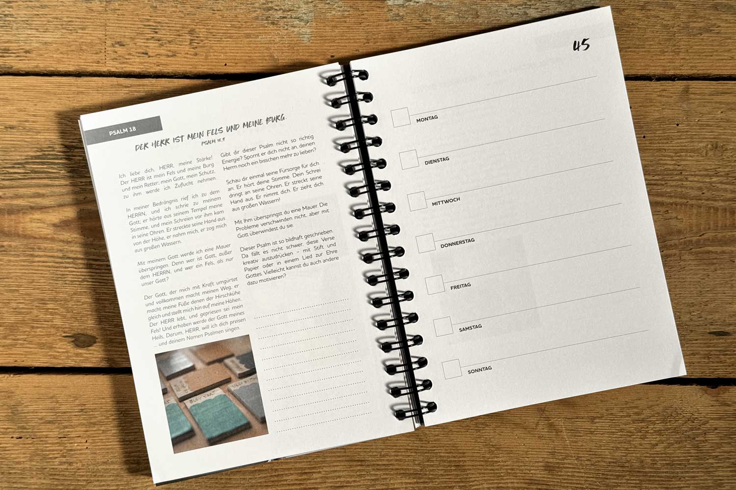 Mein Jahr an Gottes Hand