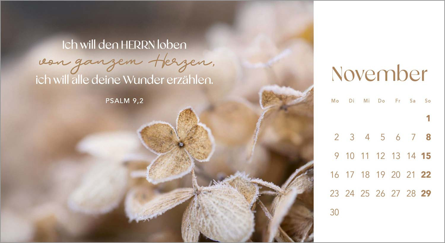 Augenblicke der Anbetung 2026