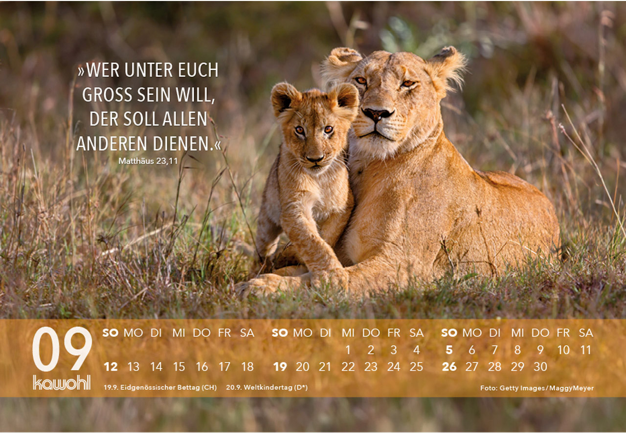 Jesus Zitate 2027 - Aufstellkalender