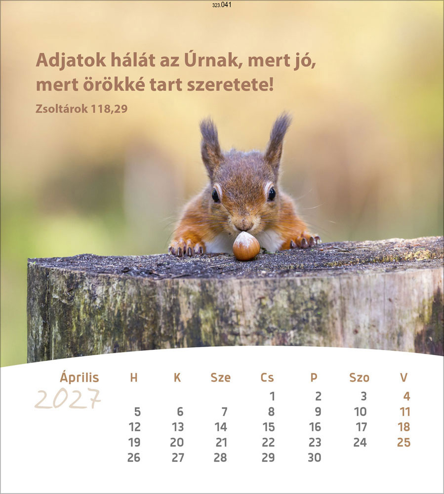 Leben für Dich 2027 - Verteilkalender (Ungarisch)