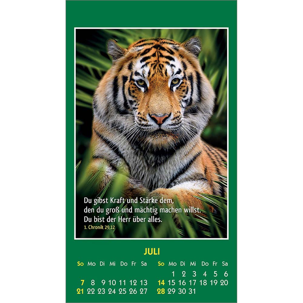 Hallo Du 2024 - Aufkleber-Kalender
