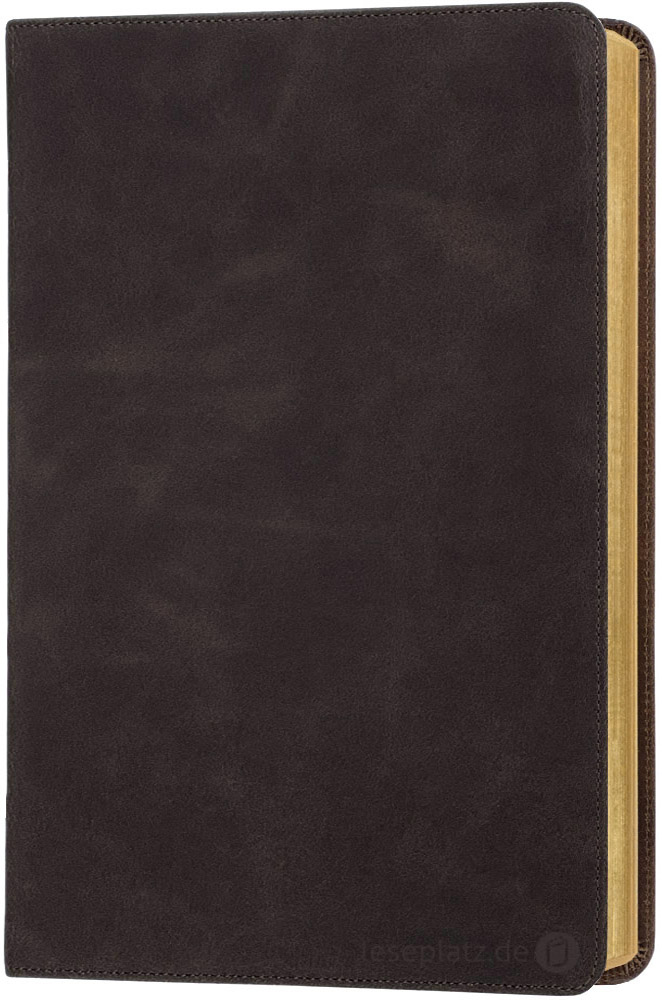 257162v-01 Elberfelder 2003 - Standardausgabe Premium / Rindleder dunkelbraun / Goldschnitt