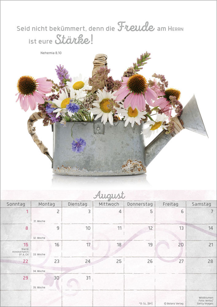 Momente der Freude 2027 - Wandkalender