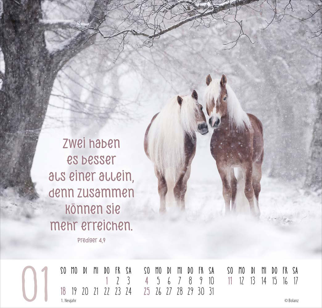 Beste Freunde - Ich mag dich  2026 - Posterkalender