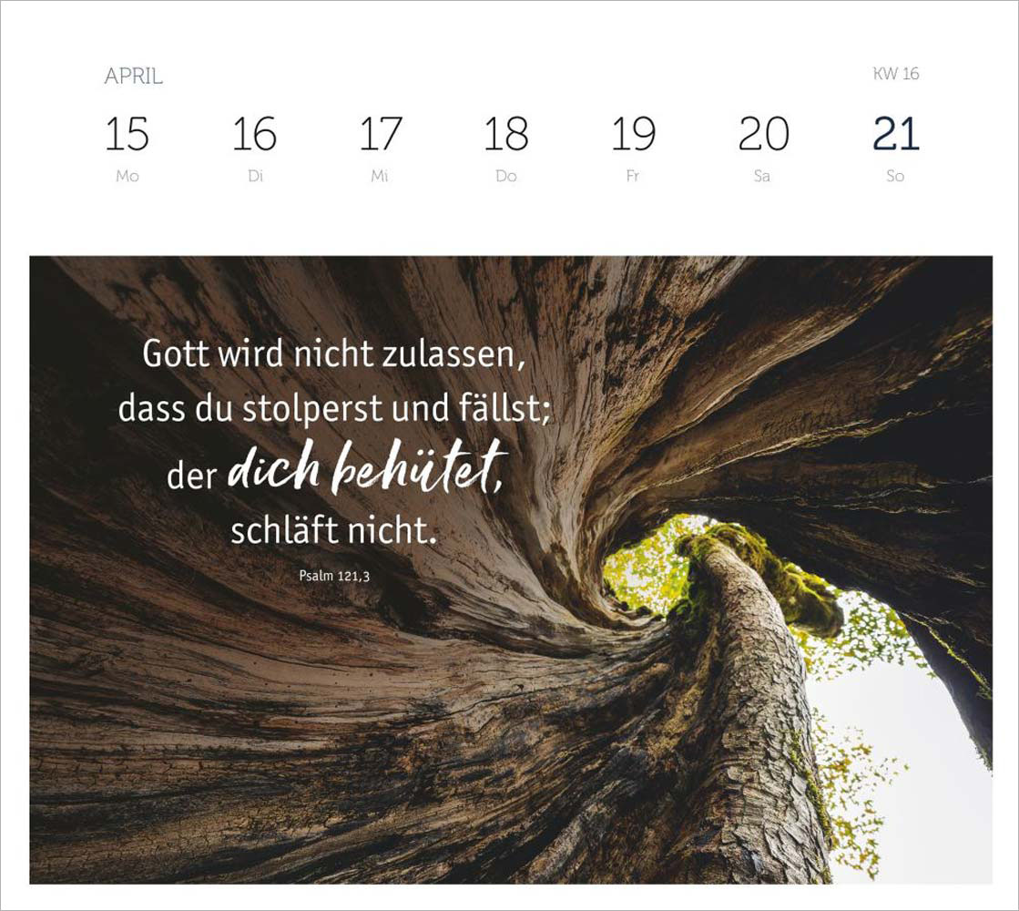 Grüne Wunder - blaue Weiten 2024 - Wochenplaner Grüne Wunder - blaue Weiten 2024 - Wochenplaner