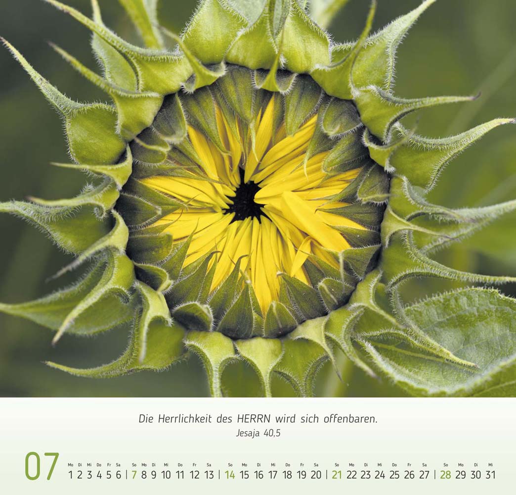 Gesichter der Natur 2024 Gesichter der Natur 2024