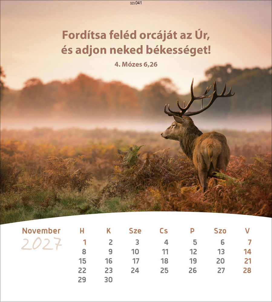 Leben für Dich 2027 - Verteilkalender (Ungarisch)