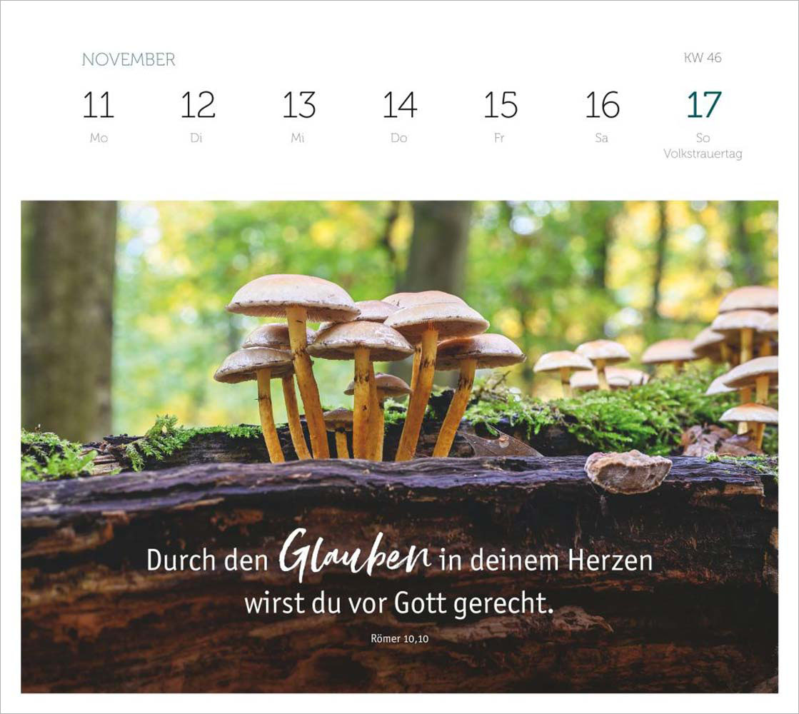 Grüne Wunder - blaue Weiten 2024 - Wochenplaner Grüne Wunder - blaue Weiten 2024 - Wochenplaner